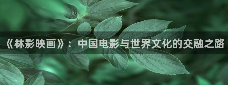 飘花影院.：《林影映画》：中国电影与世界文化的交融之路