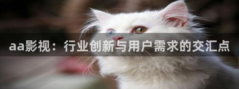 飘花在线电影网