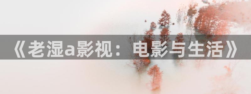 飘花网站