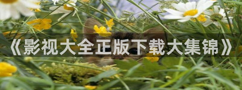 飘花影院在线观看高清电影大全