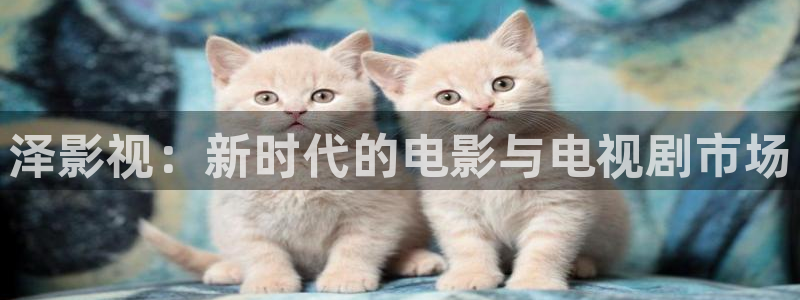 飘花tv