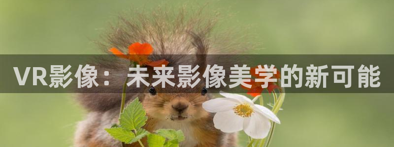飘花影院 在线观看
