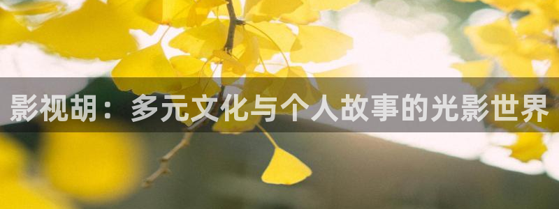 飘花电影网手机影院