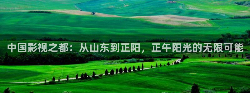 飘花电影网vip：中国影视之都：从山东到正阳，正午阳光的无限可能