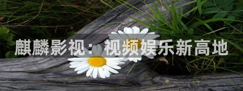 飘花影院免费电视剧