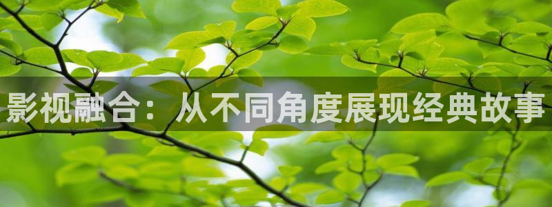 飘花电影院午夜理论片：影视融合：从不同角度展现经典故事